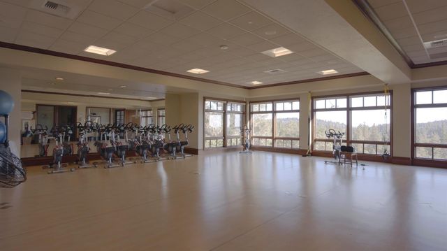 1109 Holly Leaf Ln, Meadow Vista, CA 95722