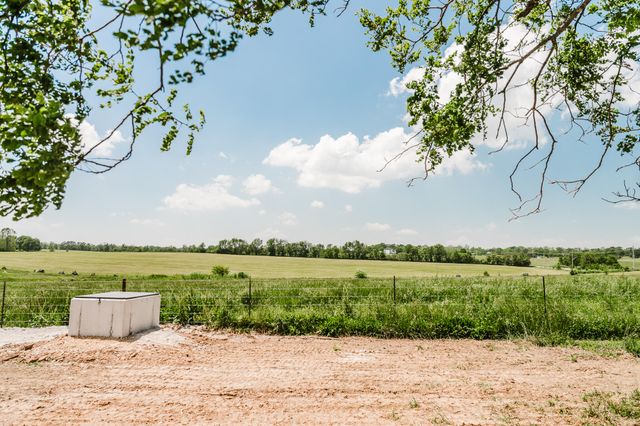 795 Lenape Road, Billings, MO 65610