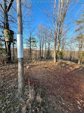 1127 Zion Ridge Road, Ripley, WV 25271