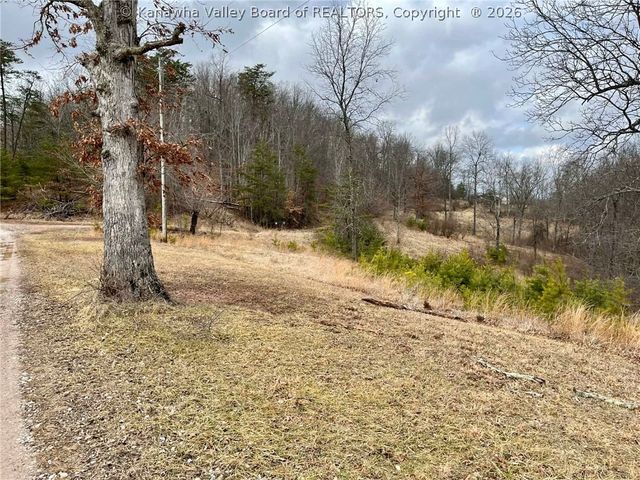 1127 Zion Ridge Road, Ripley, WV 25271