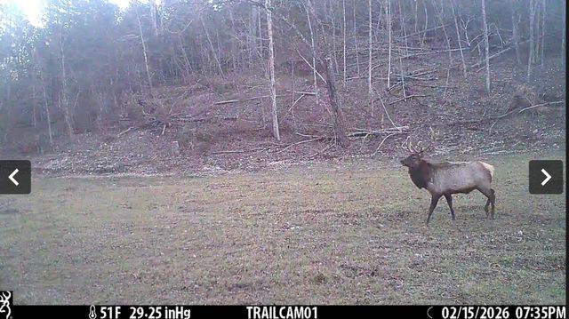 1044 Carter 154, Fremont, MO 63941