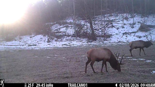 1044 Carter 154, Fremont, MO 63941