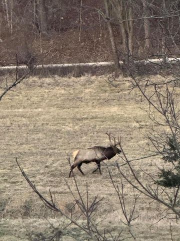 1044 Carter 154, Fremont, MO 63941