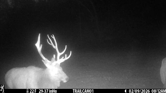 1044 Carter 154, Fremont, MO 63941