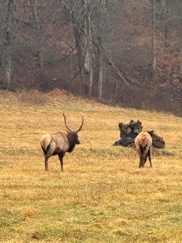 1044 Carter 154, Fremont, MO 63941