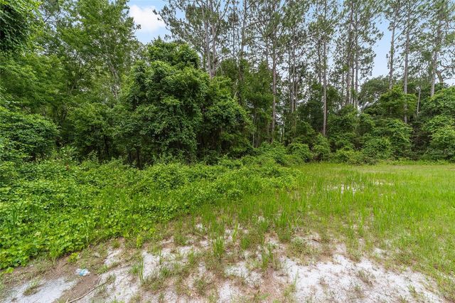 11895 SE 136TH COURT, Ocklawaha, FL 32179