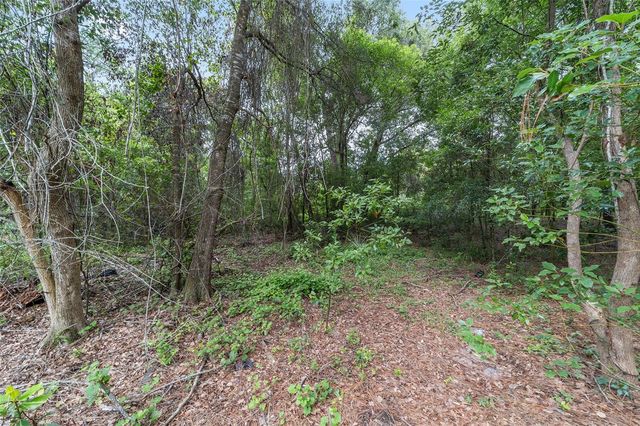 11895 SE 136TH COURT, Ocklawaha, FL 32179