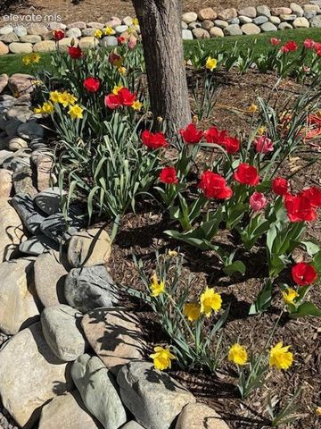 15701 Split Creek Drive, Monument, CO 80132