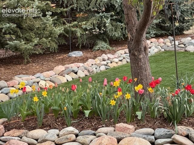 15701 Split Creek Drive, Monument, CO 80132