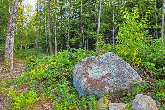 00 Page Hill Road, Tamworth, NH 03817