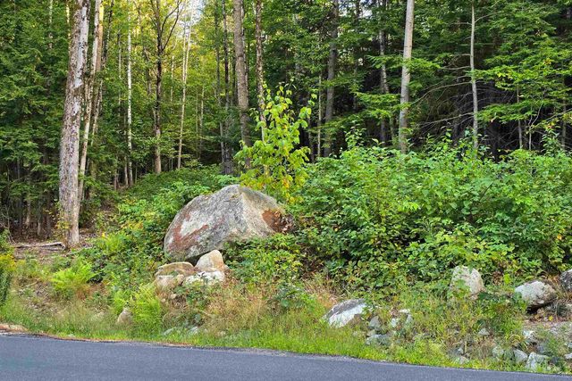 00 Page Hill Road, Tamworth, NH 03817