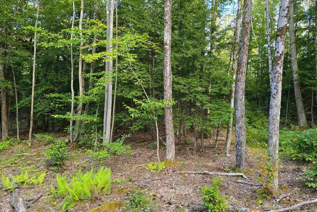 00 Page Hill Road, Tamworth, NH 03817