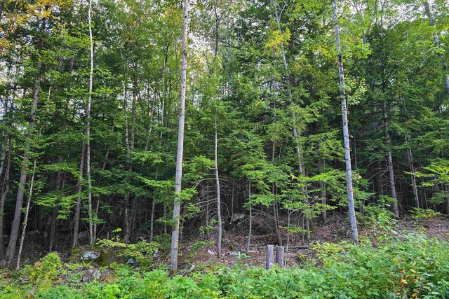 00 Page Hill Road, Tamworth, NH 03817