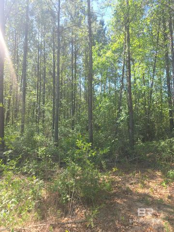 0 Smallwood Lane, Seminole, AL 36574