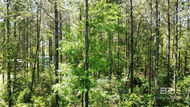 0 Smallwood Lane, Seminole, AL 36574