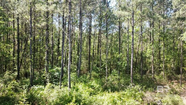 0 Smallwood Lane, Seminole, AL 36574