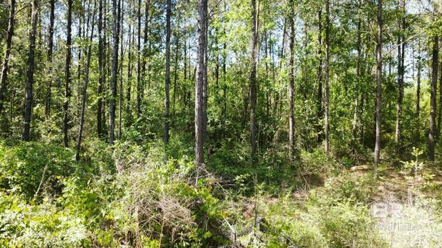 0 Smallwood Lane, Seminole, AL 36574