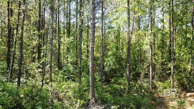 0 Smallwood Lane, Seminole, AL 36574