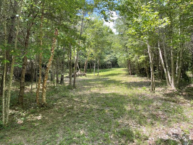 Tract 1 Welcome Valley Road, Benton, TN 37307
