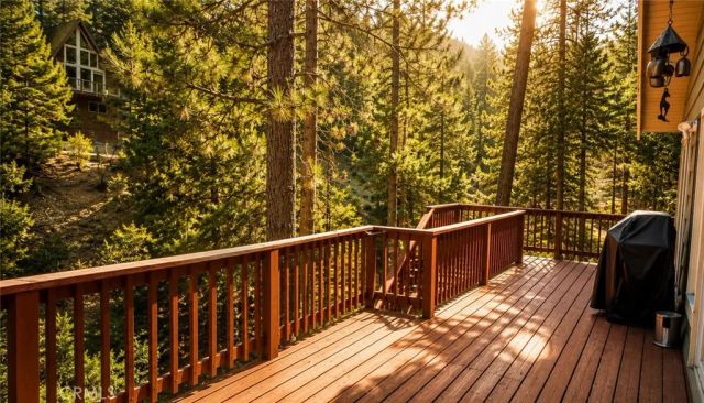 26974 Tunnel, Lake Arrowhead, CA 92352