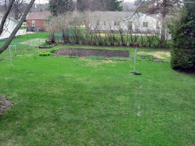 1421 Madison Street, Cedar Falls, IA 50613