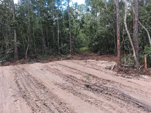 1135 OMEGA RANCH ROAD 4&5, New Smyrna Beach, FL 32168