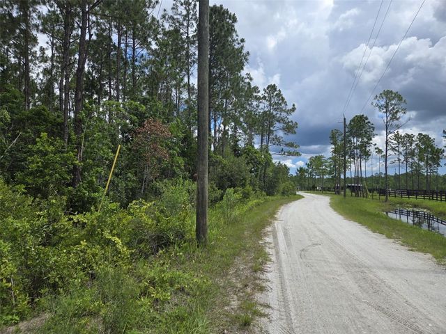 1135 OMEGA RANCH ROAD 4&5, New Smyrna Beach, FL 32168