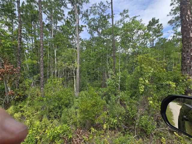 1135 OMEGA RANCH ROAD 4&5, New Smyrna Beach, FL 32168