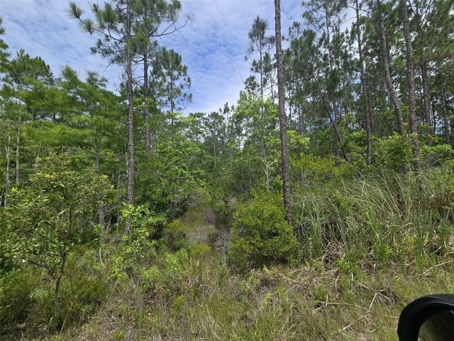 1135 OMEGA RANCH ROAD 4&5, New Smyrna Beach, FL 32168