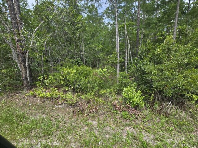 1135 OMEGA RANCH ROAD 4&5, New Smyrna Beach, FL 32168