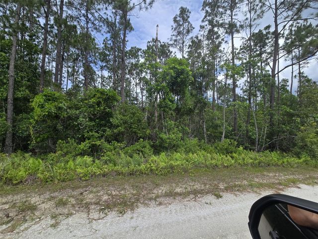 1135 OMEGA RANCH ROAD 4&5, New Smyrna Beach, FL 32168