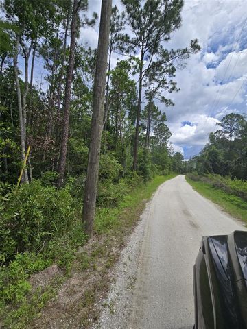 1135 OMEGA RANCH ROAD 4&5, New Smyrna Beach, FL 32168