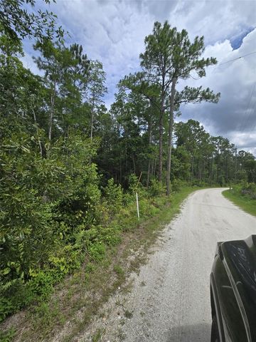 1135 OMEGA RANCH ROAD 4&5, New Smyrna Beach, FL 32168