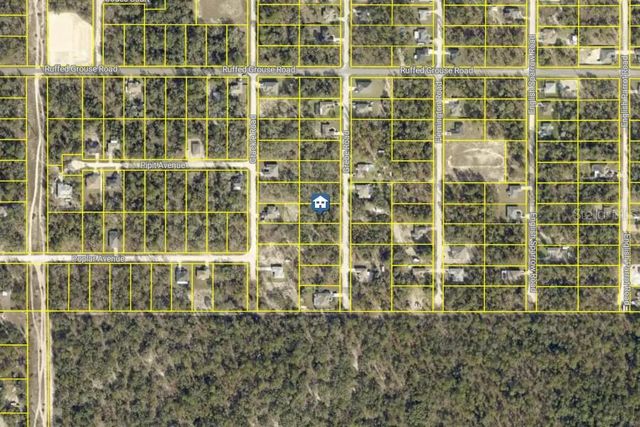 LOT 16 GREBE ROAD, Weeki Wachee, FL 34614
