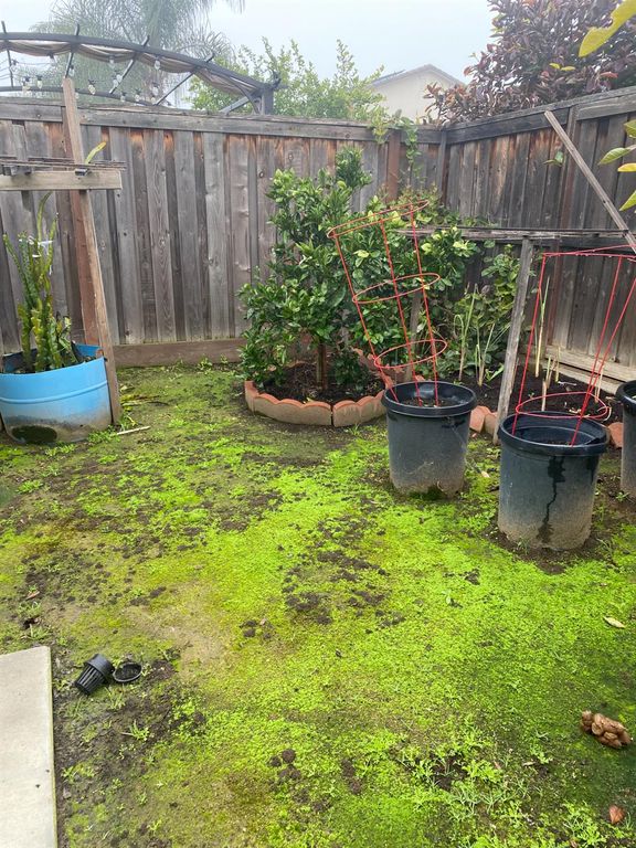 Image 20 of property listing at 3765 N Pearwood Avenue, Fresno, CA 93727