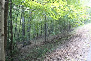 0 Azule Ridge Drive, Bostic, NC 28018