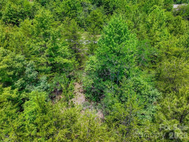 121 Jobes Trail 35, Mill Spring, NC 28756