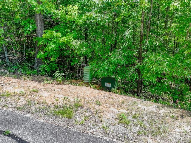 121 Jobes Trail 35, Mill Spring, NC 28756