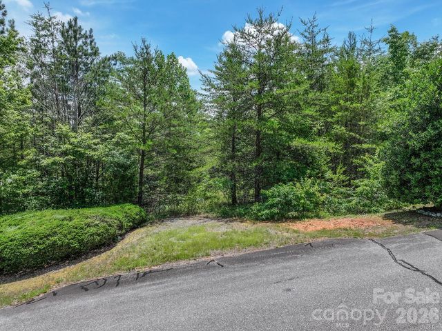 121 Jobes Trail 35, Mill Spring, NC 28756