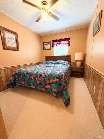 44800 Mark Twain Lake Estates, Perry, MO 63462