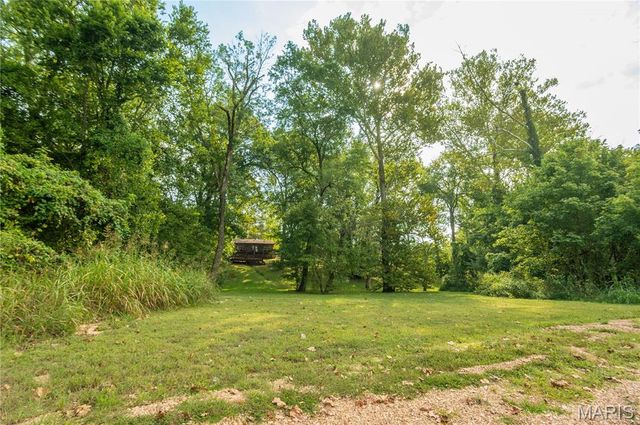 56 Lueckle Drive, Van Buren, MO 63965