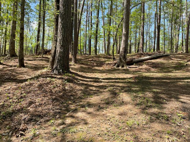 Lot 7 Stonehenge Circle, Edgefield, SC 29824