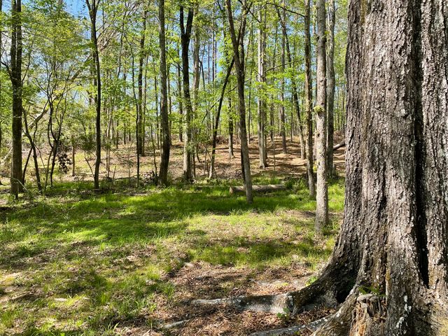 Lot 7 Stonehenge Circle, Edgefield, SC 29824