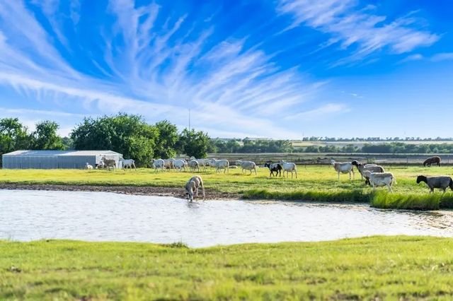 8085 Jackson Road, Krum, TX 76249