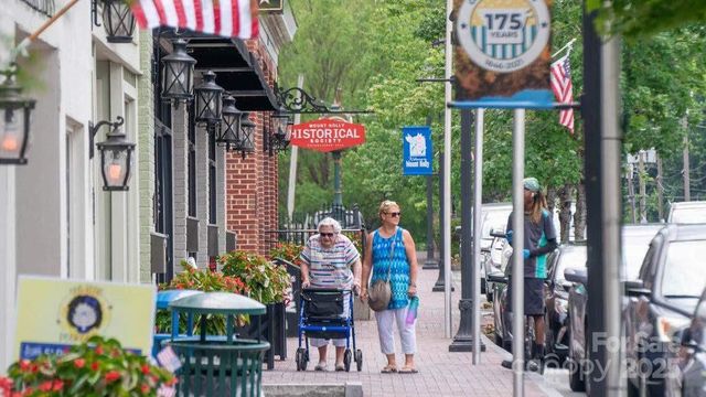 407 Ridgely Green Drive, Pineville, NC 28134