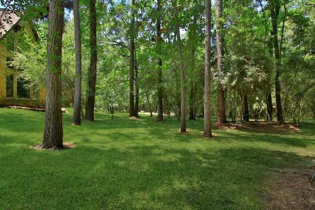 28913 Pleasant Forest, Magnolia, TX 77355