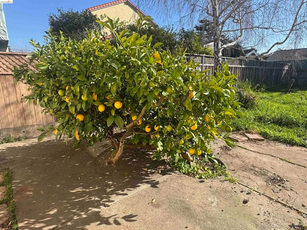 Image 48 of property listing at 1266 Washington Ave, Albany, CA 94706