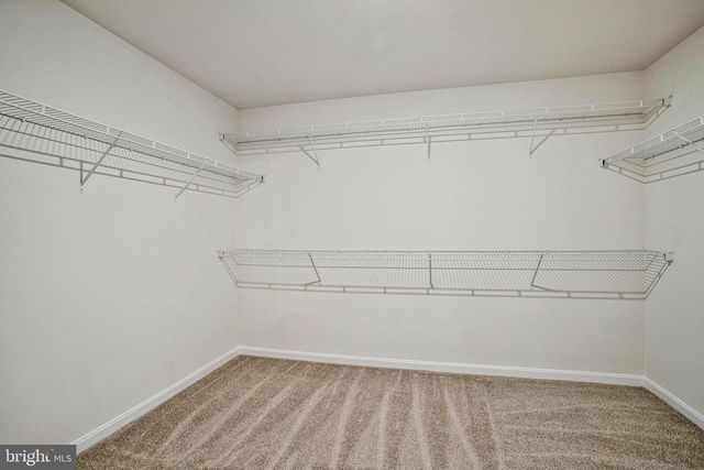 1605 SHADY TREE CT, Bel Air, MD 21015