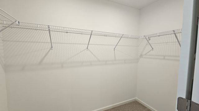 5388 Bellflower Hls, Hermitage, TN 37076