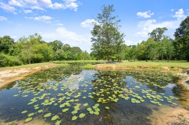 34375 Quarter Horse Ln, Walker, LA 70785